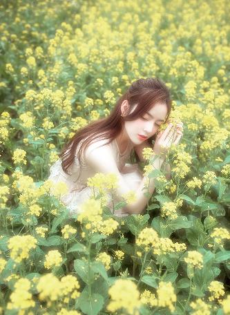 书卷一梦电视剧免费观看